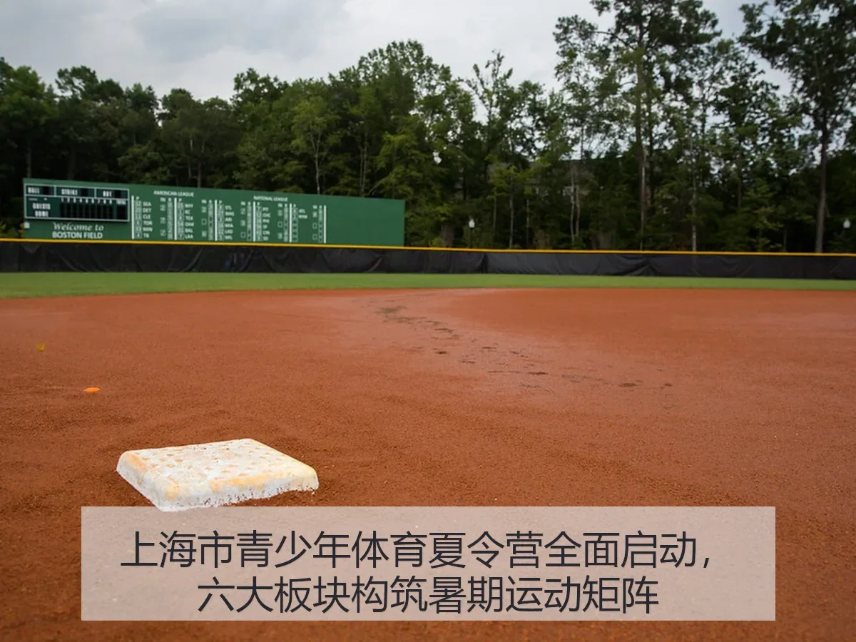 上海市青少年体育夏令营全面启动，六大板块构筑暑期运动矩阵
